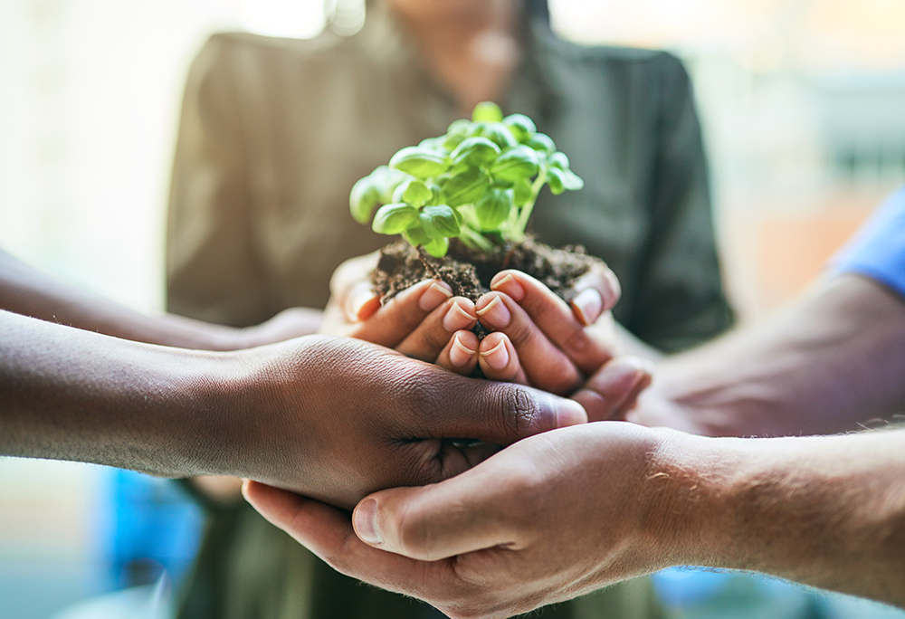 Colaboradores de una empresa industrial participando en un programa de reforestación y apoyo comunitario en México.